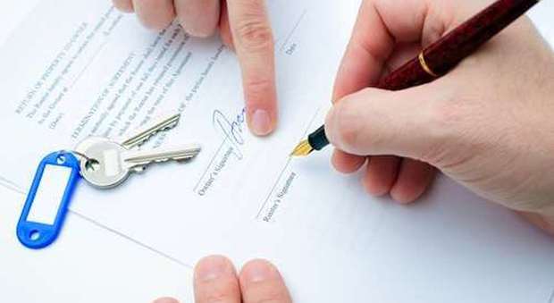 contratto affitto cedolare secca